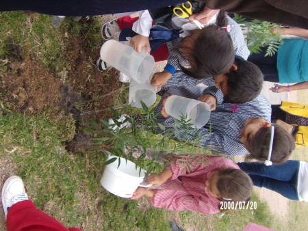 Con la colaboración de alumnos , padres y maestros se realizo plantación de arboles en escuela en barrio Lavalleja